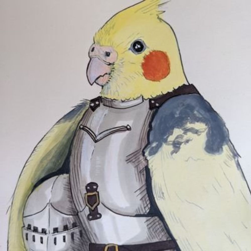 Birb at Arms's avatar