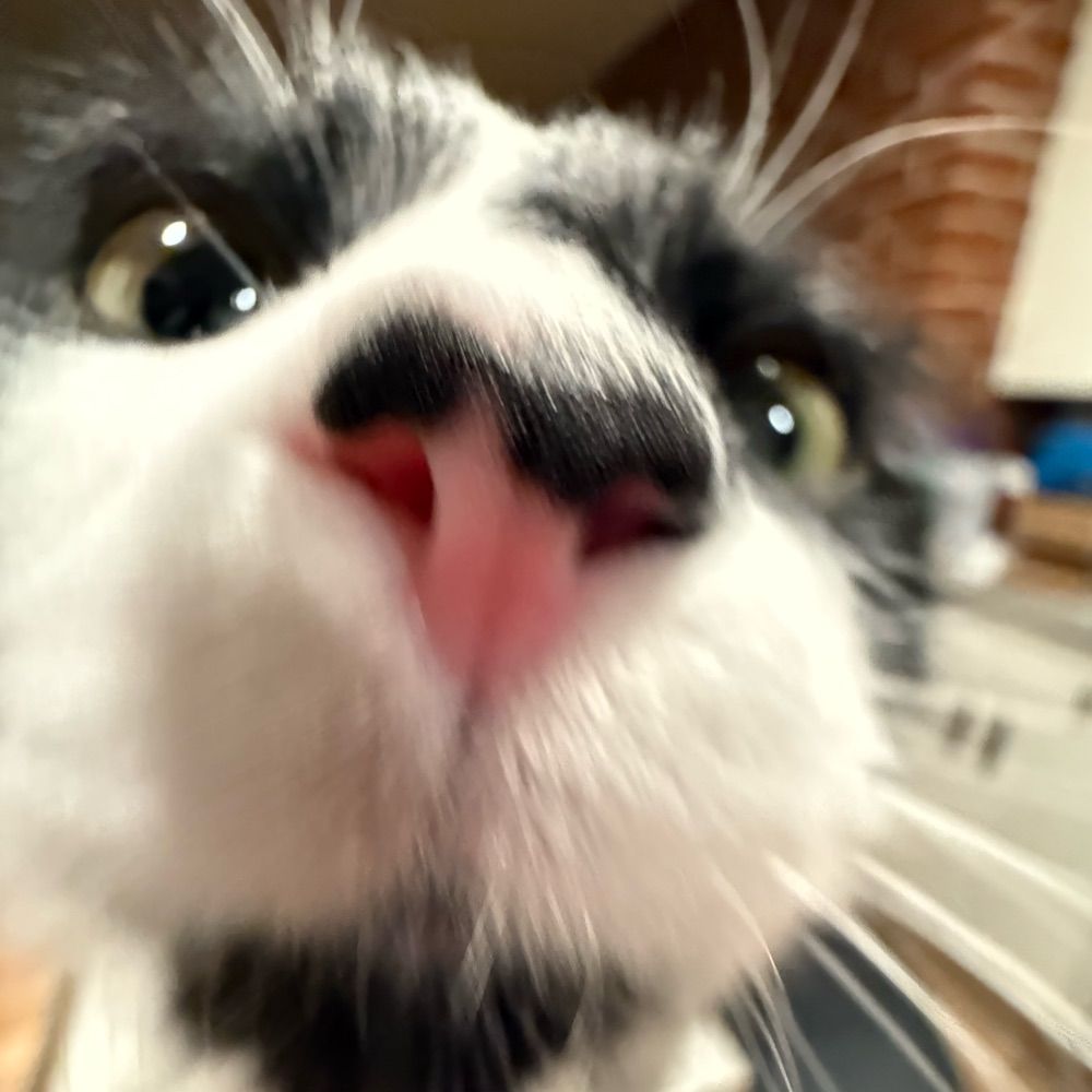 celeryman
