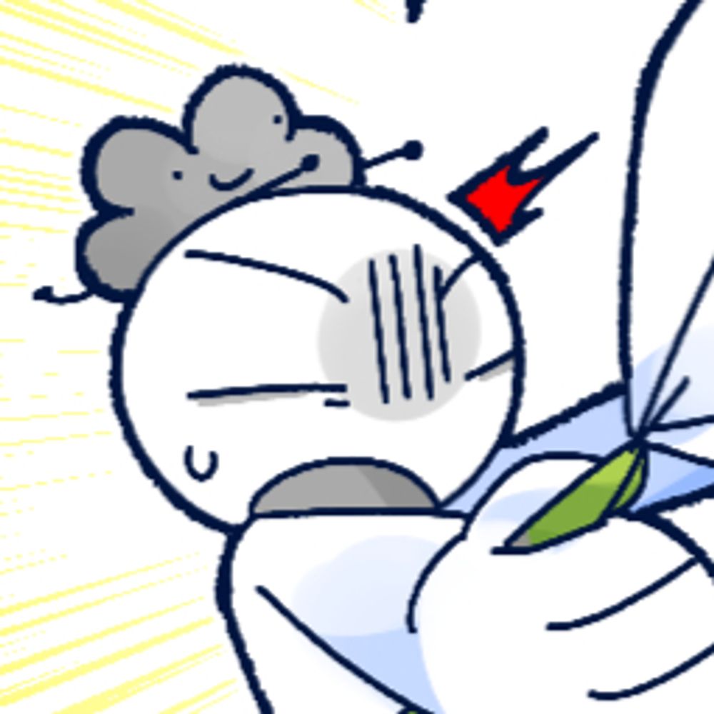 김키위