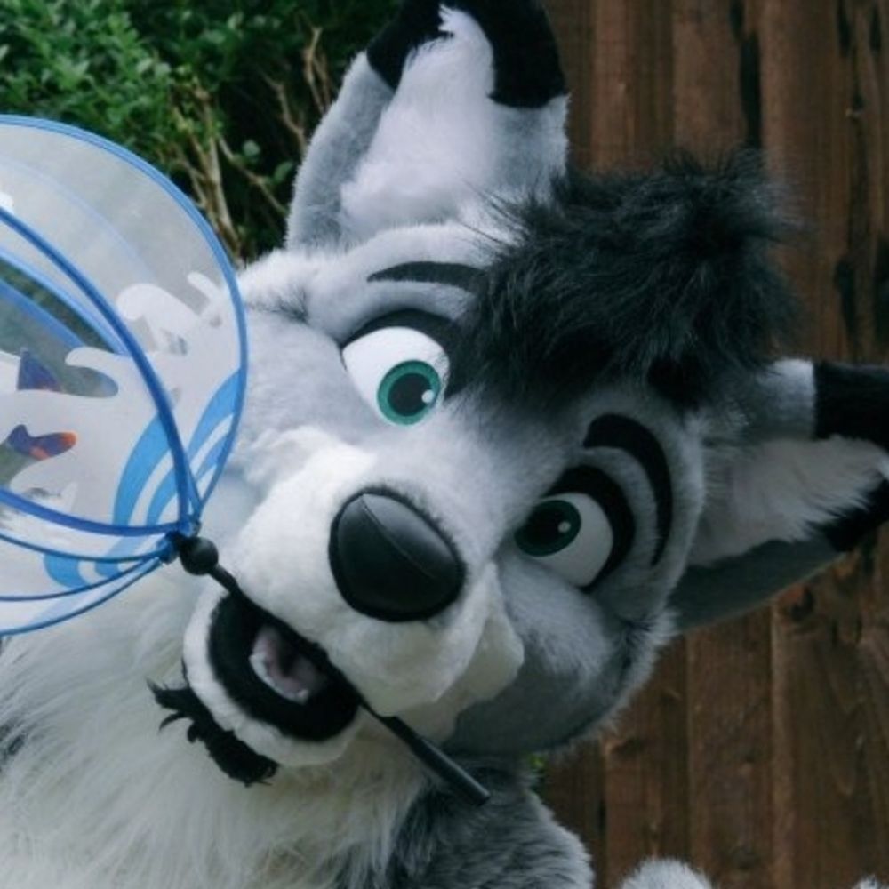 OllieWolf