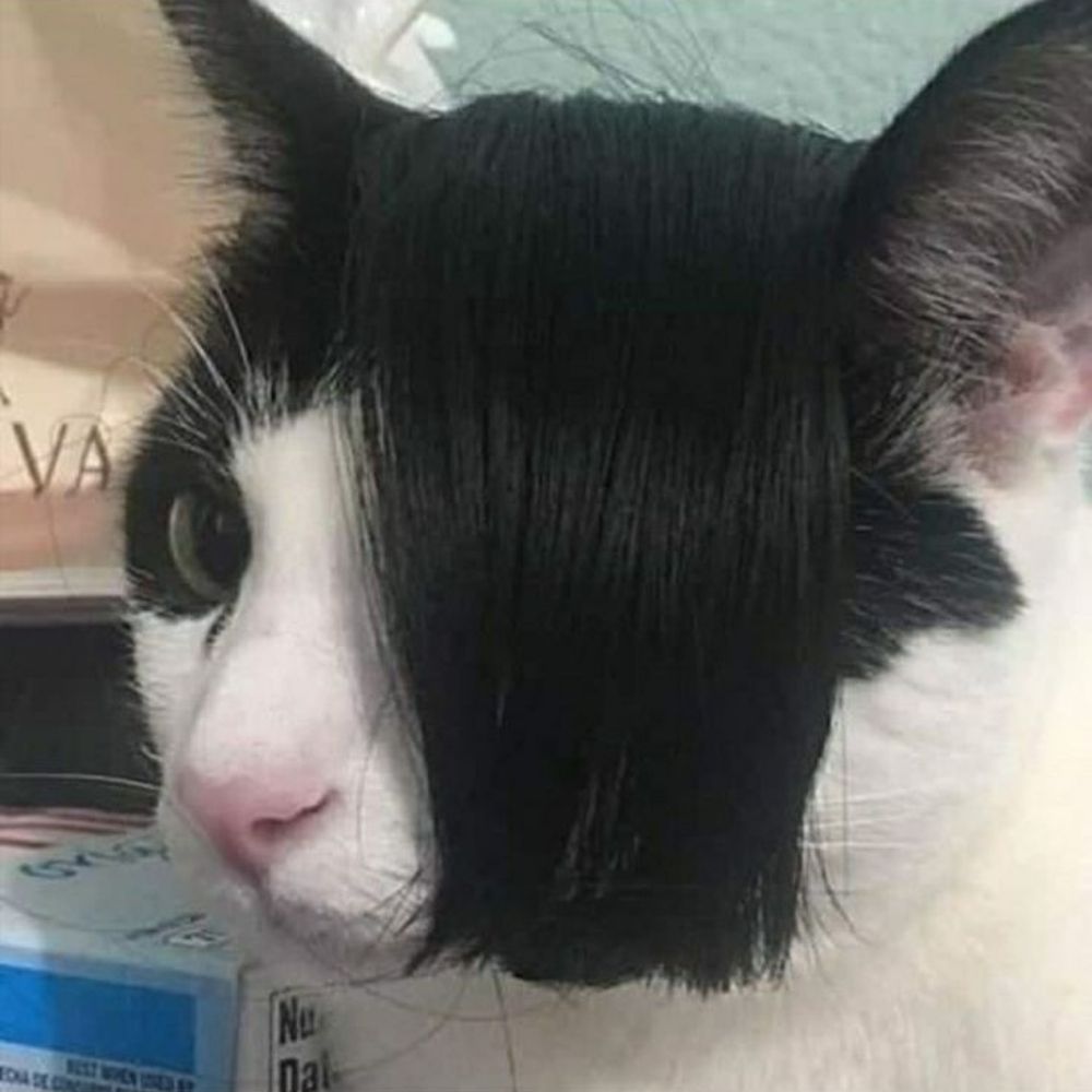 moonie 🧬☭