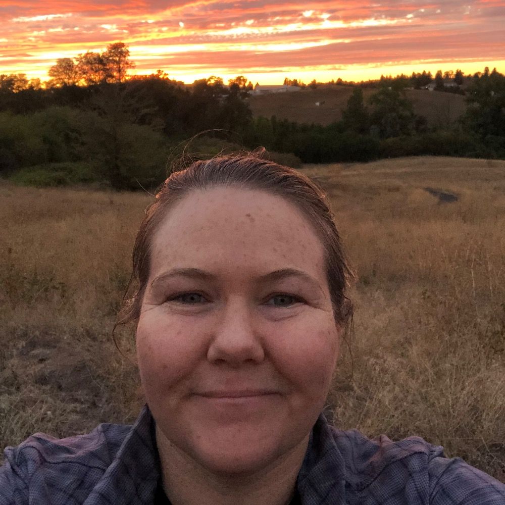 Jennifer N. Phillips
