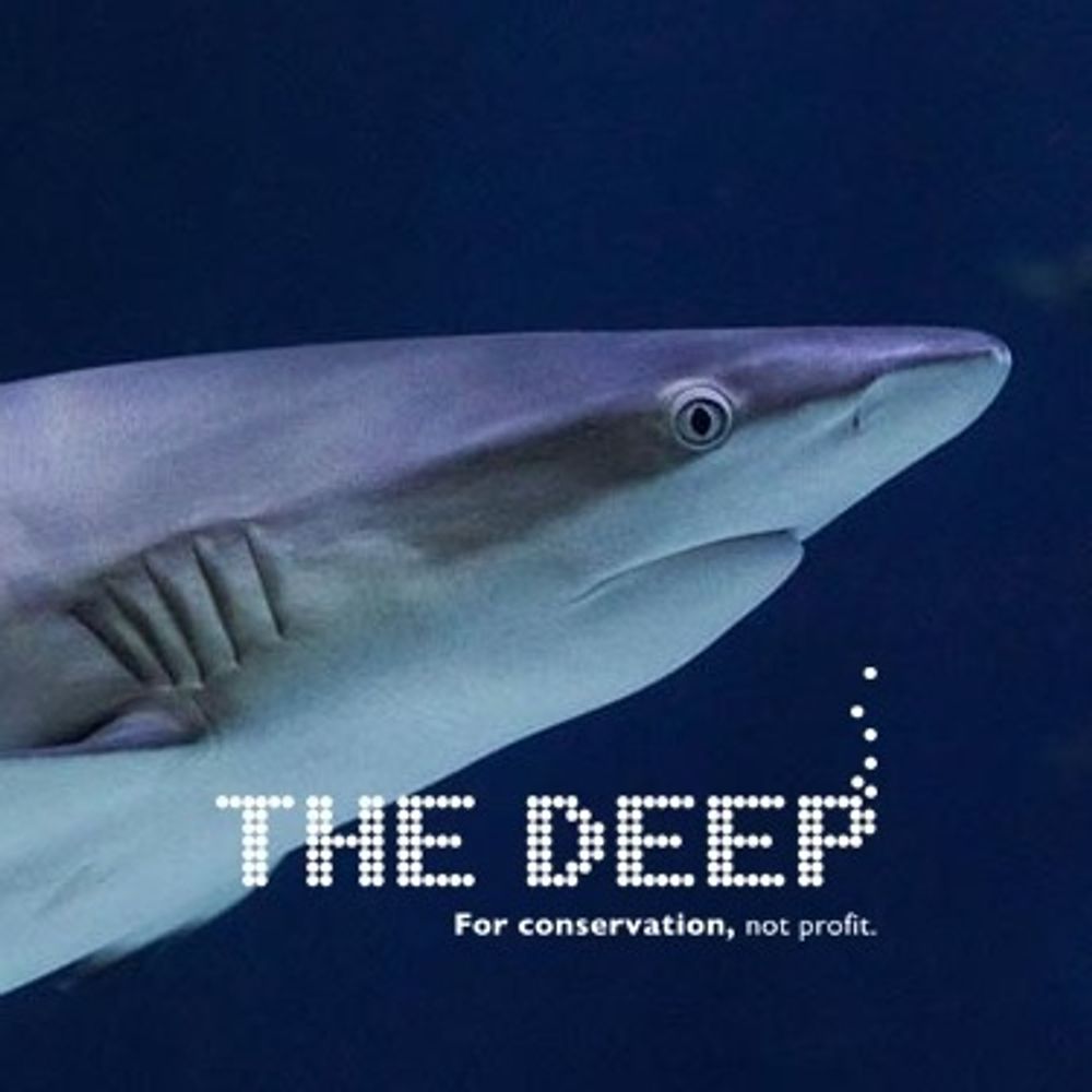 The Deep Hull