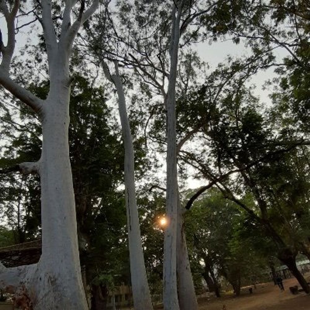 Aishik Ghosh