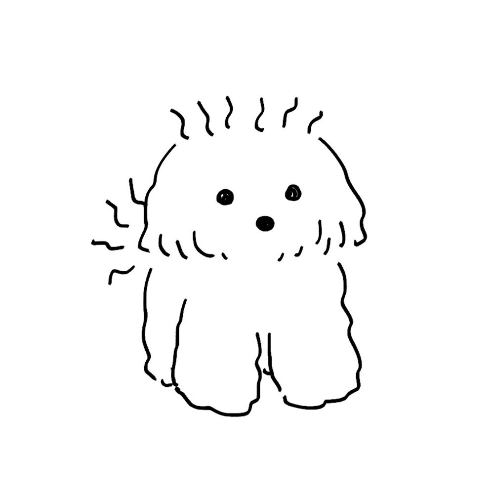 카레챙겨라
