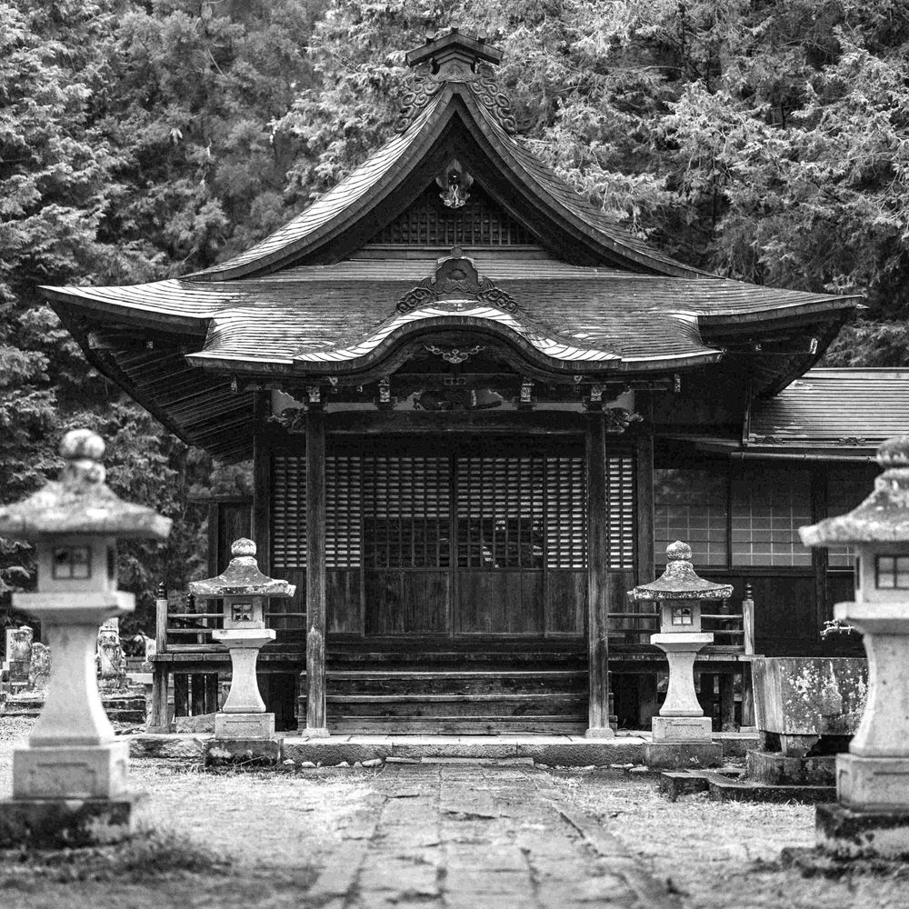 student of buddhism