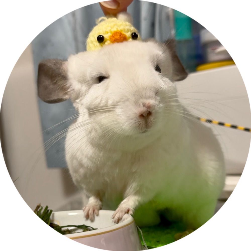 Sÿü 🐁⸒⸒ (石油王の女)