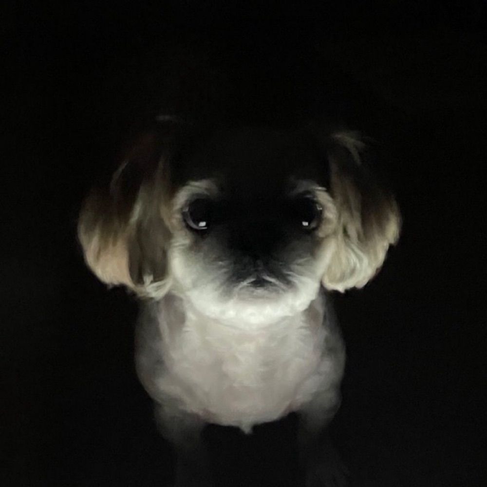 덕자