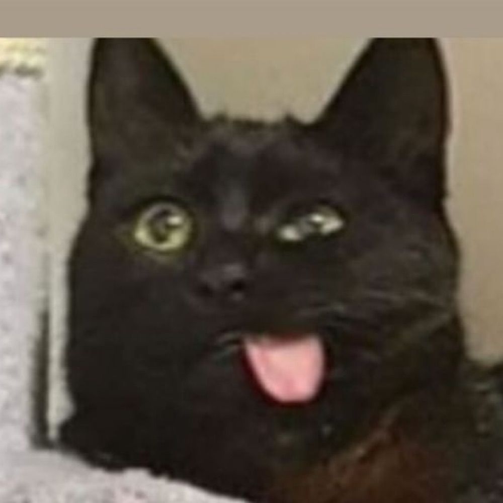 jeje