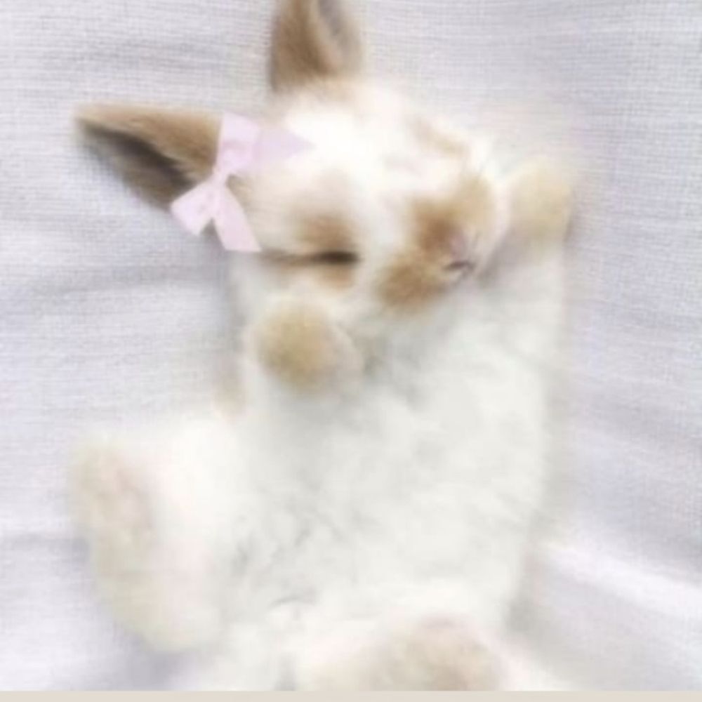 𝒜𝓁𝑒 ღ
