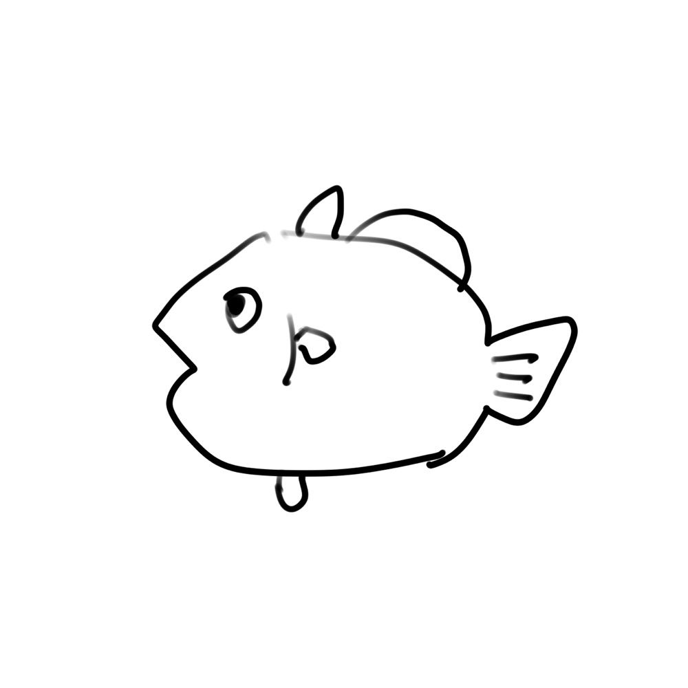 うお魚類