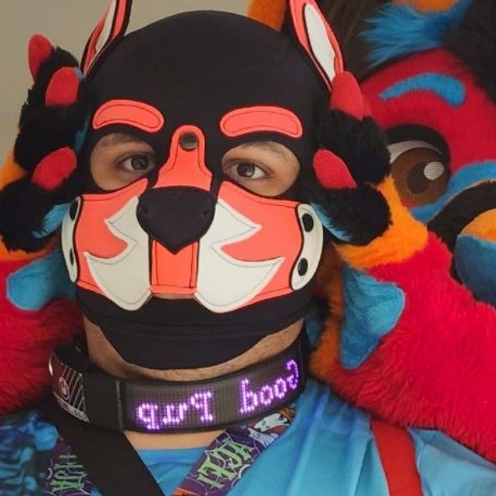 Pup Entity