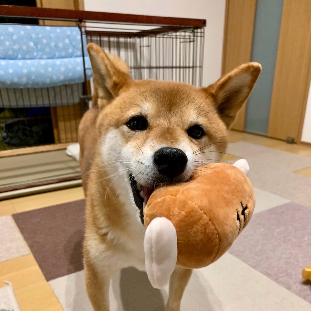 tamago