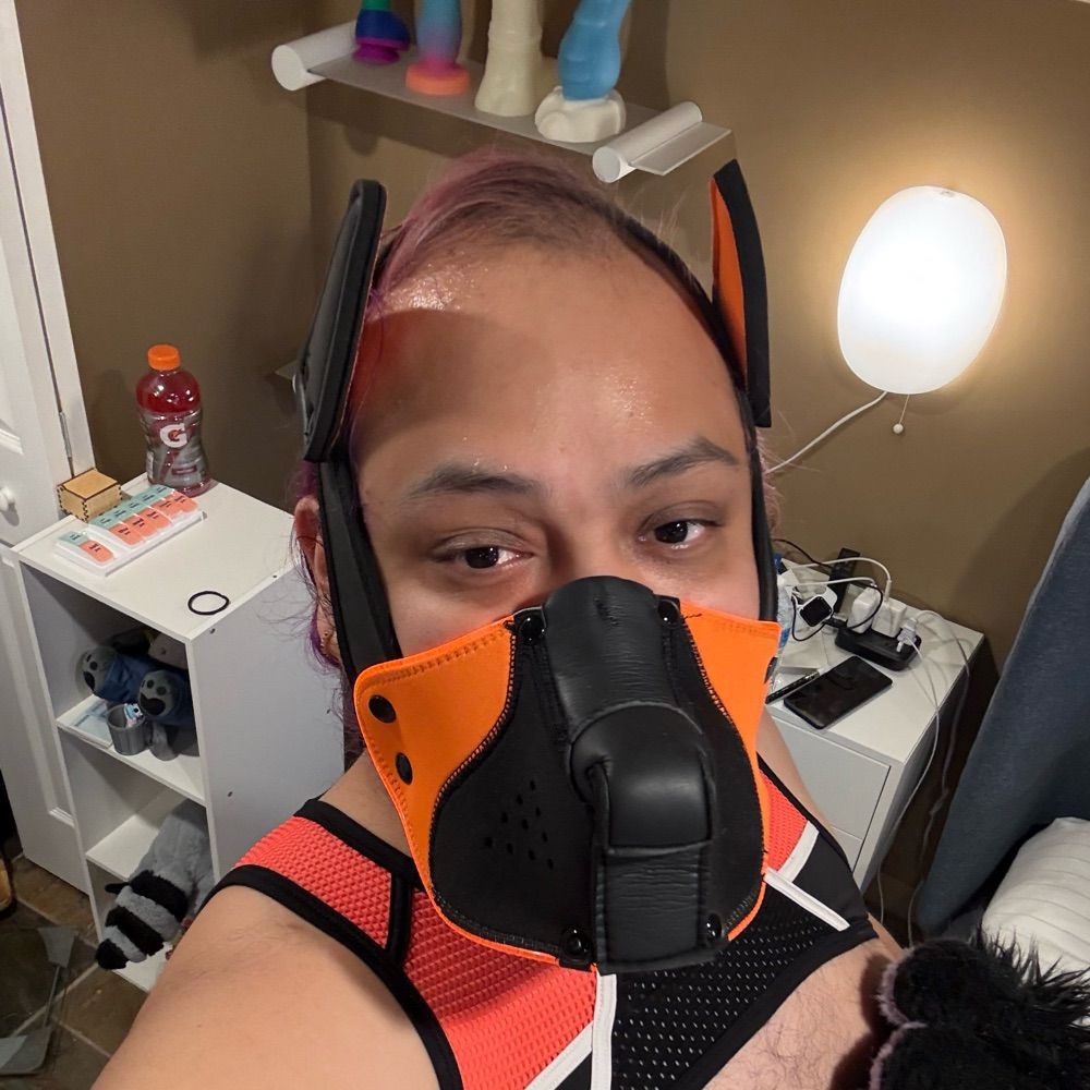 Zekle