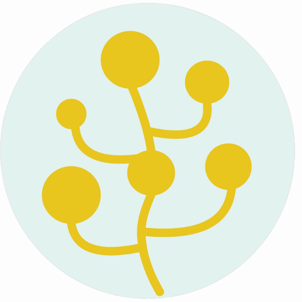 Non-neural cognition research (NnCR)