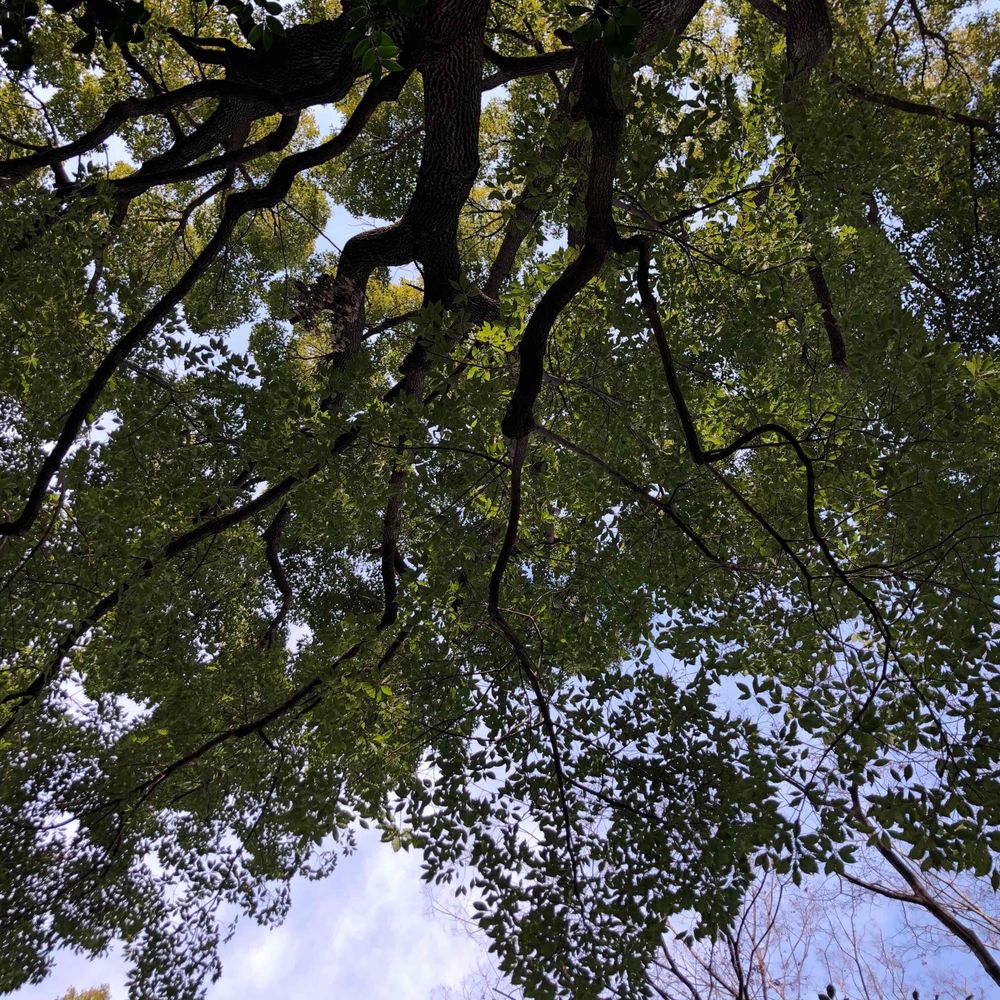 青空をとむ