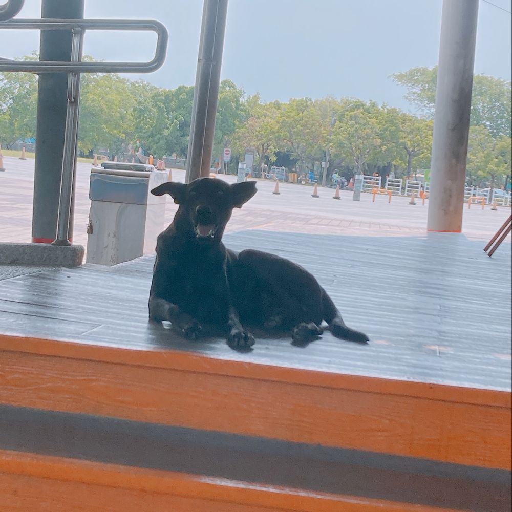 けい