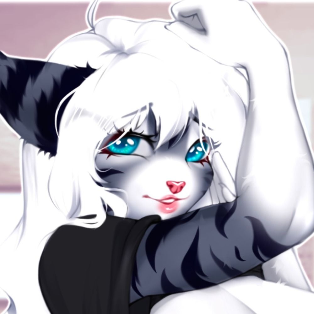 Nyx Kitten 