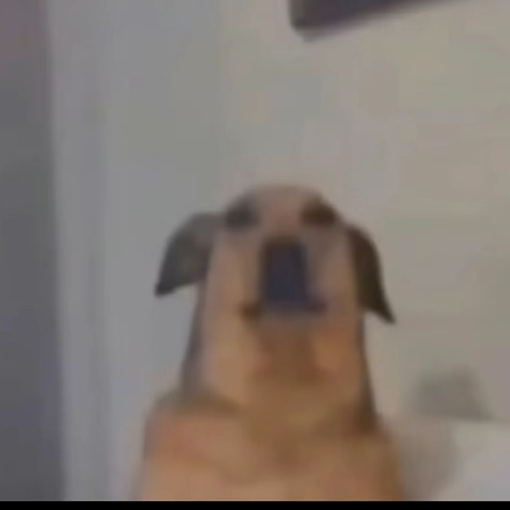 Gabe 