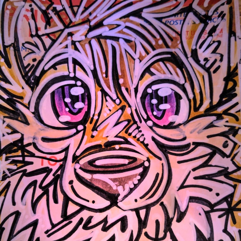 Twiggy Dingo