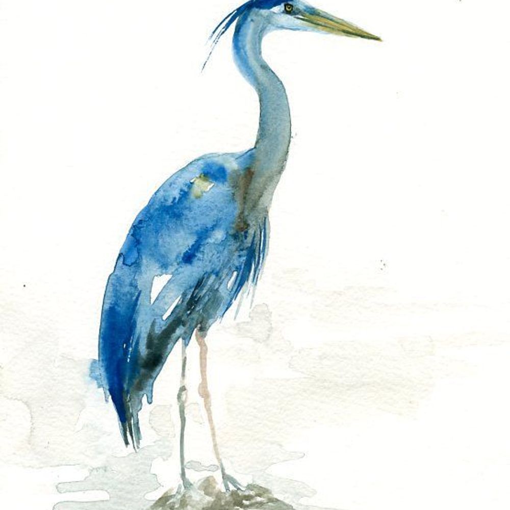 River Heron Review