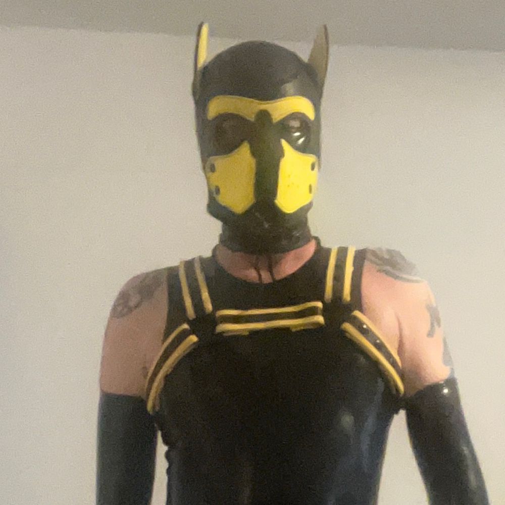 QueerPup
