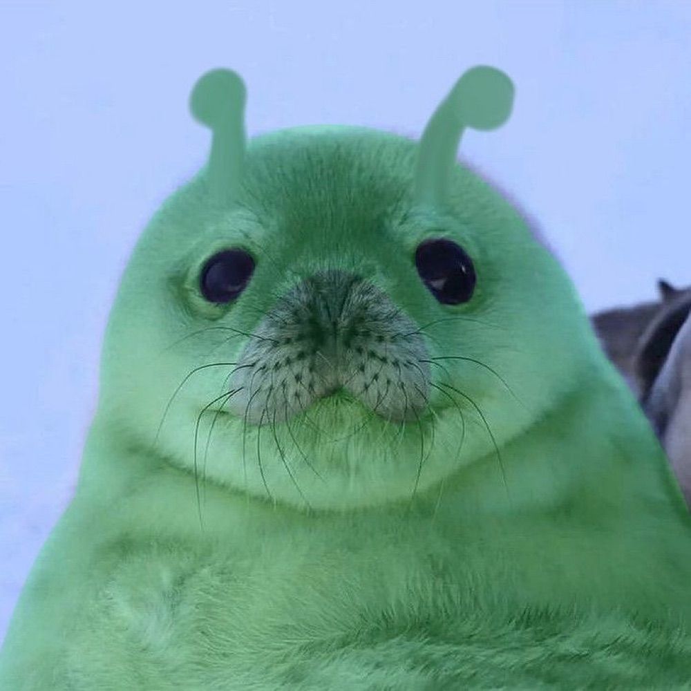 leozito
