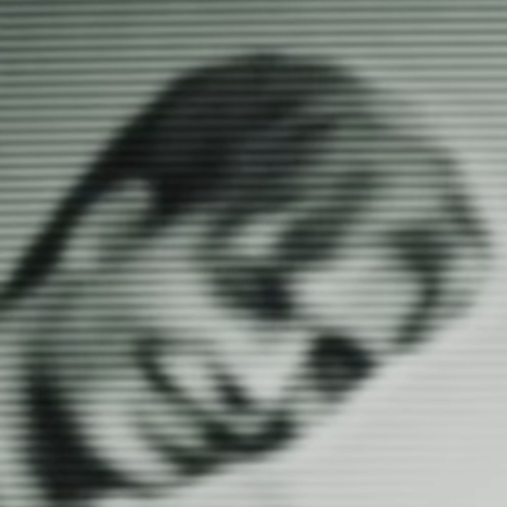 Brian