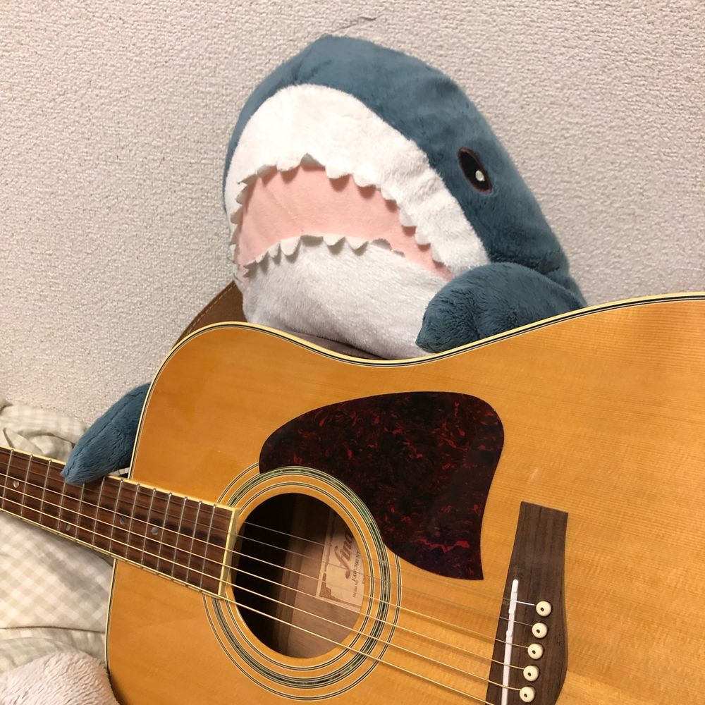 キミノアイボウ