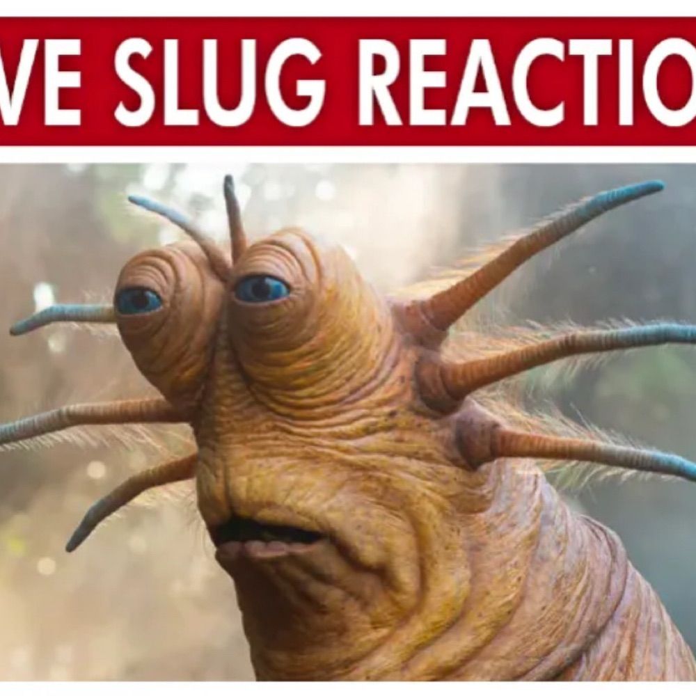 Live slug reaction