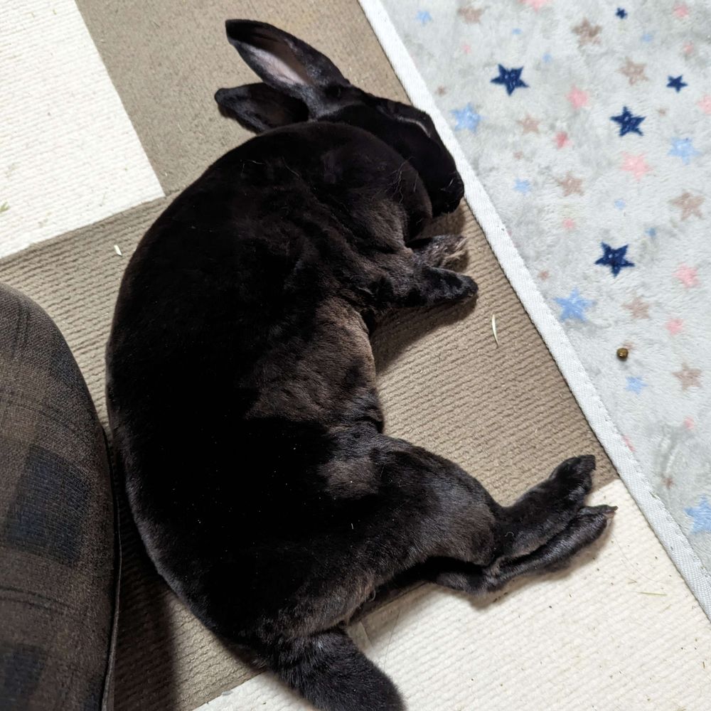 ころ