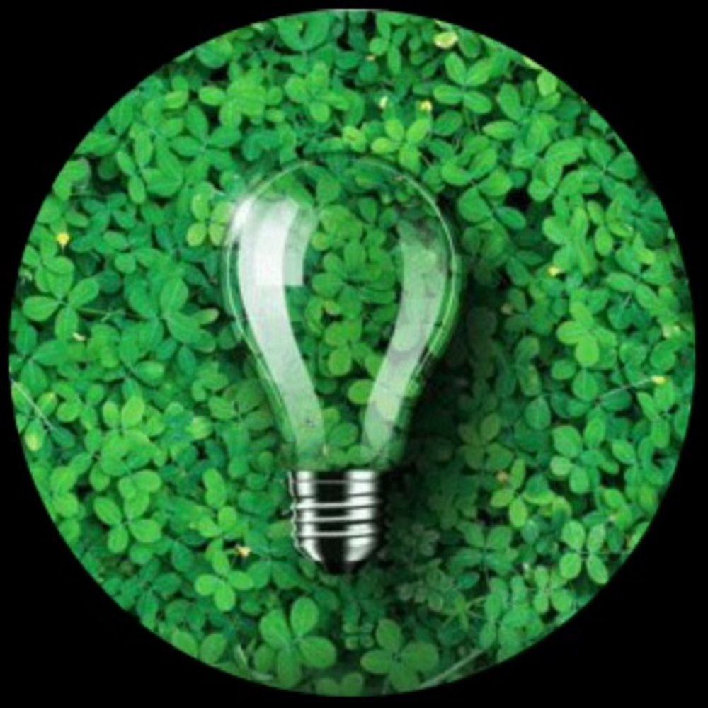 EcoSavant — Sustainability, Sustainable-living & eco-products