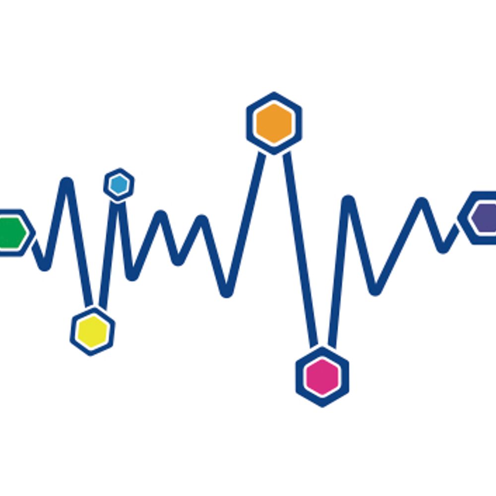 Centre for Brain, Mind and Markets