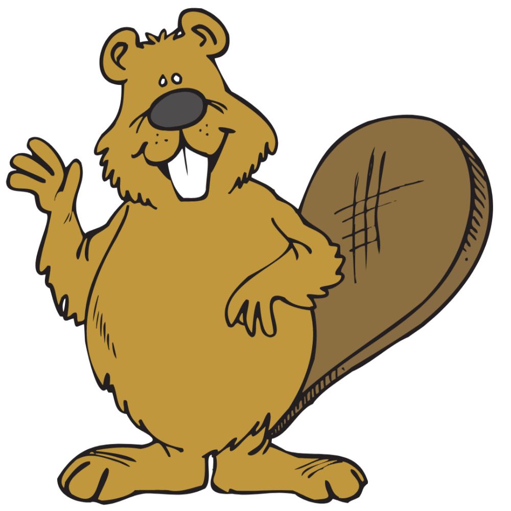 Busy Beaver