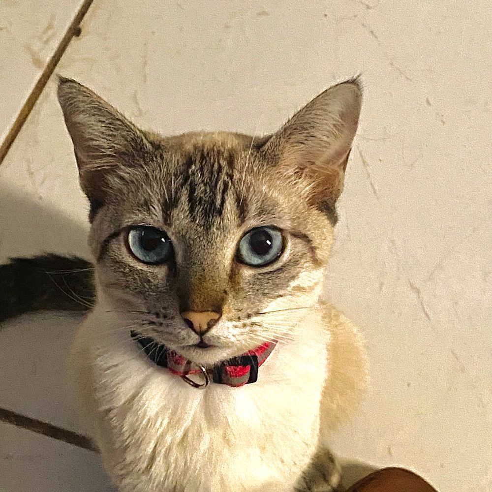manu 