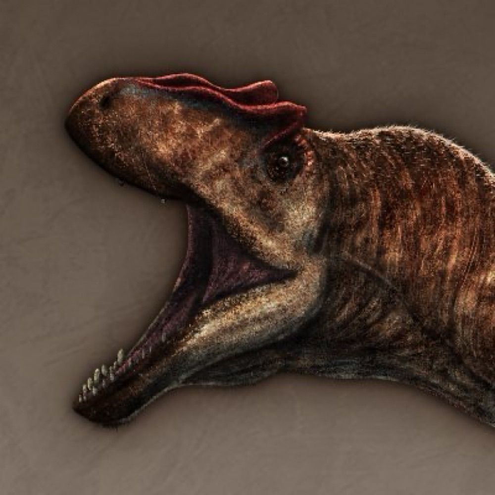 ThePaleoLad