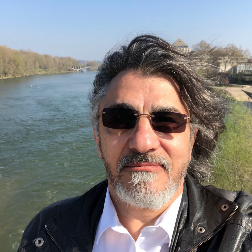 Reza Moini