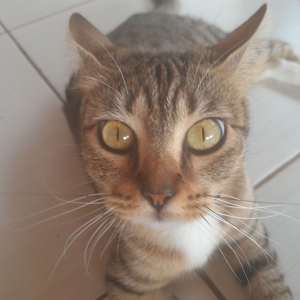 Luíza♥︎