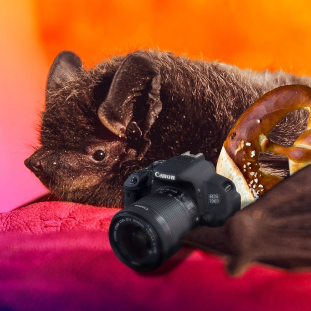 PretzelBat