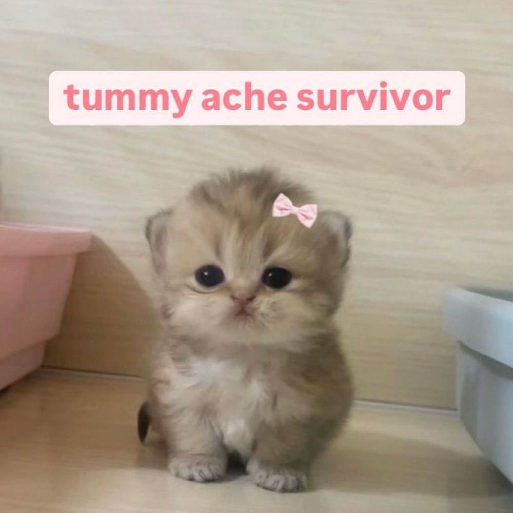 nhi