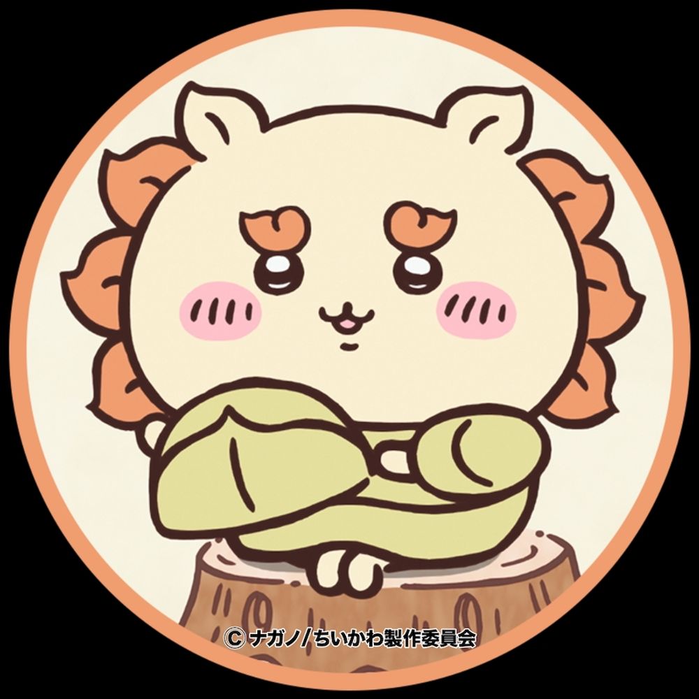腐葉土のナズナ