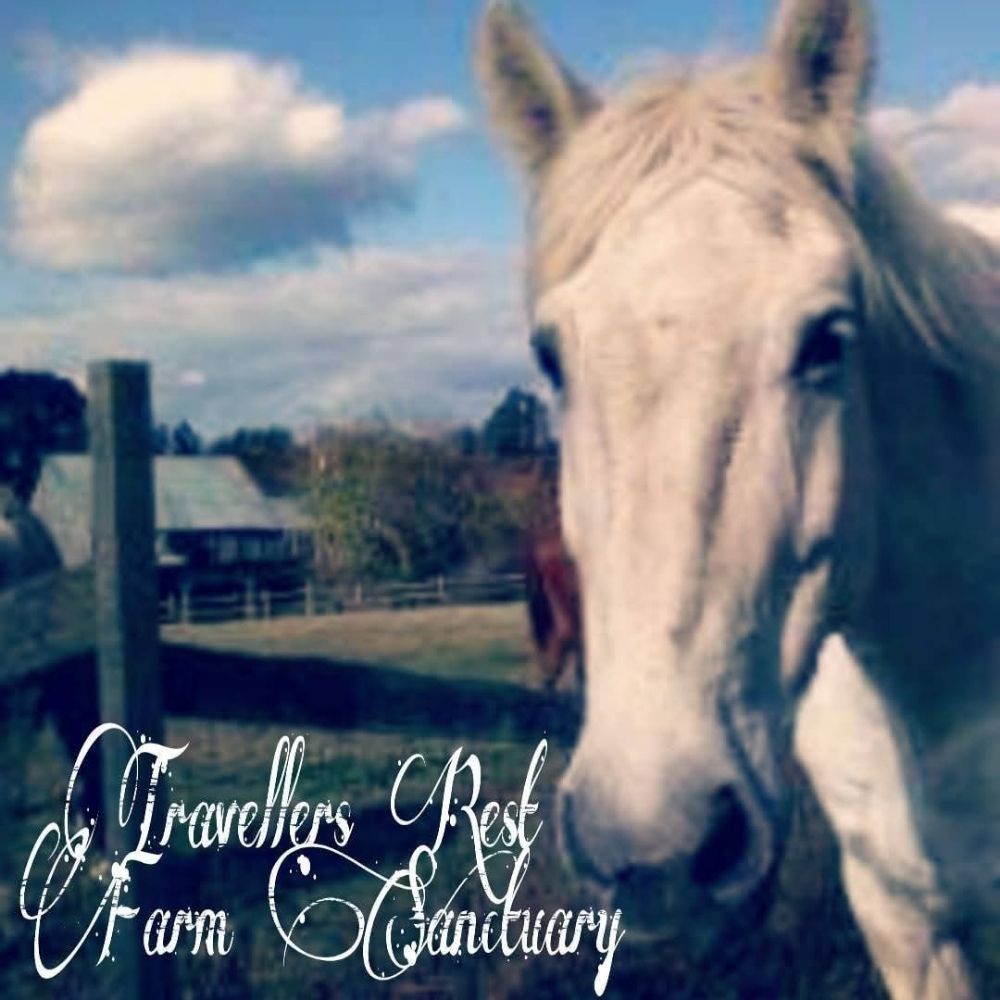Travellers Rest Farm Sanctuary