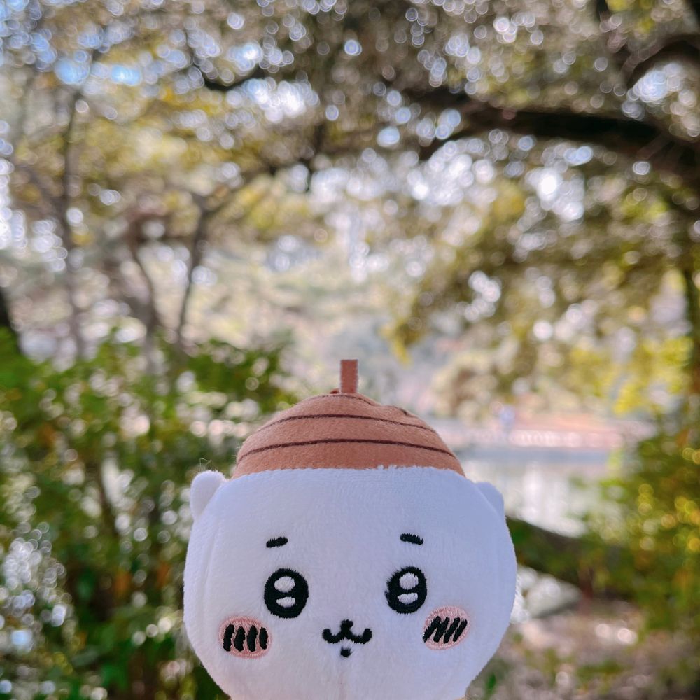 とこなつ🏝️