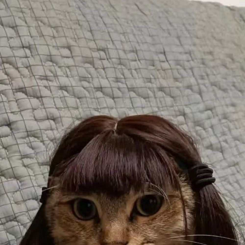 ‎