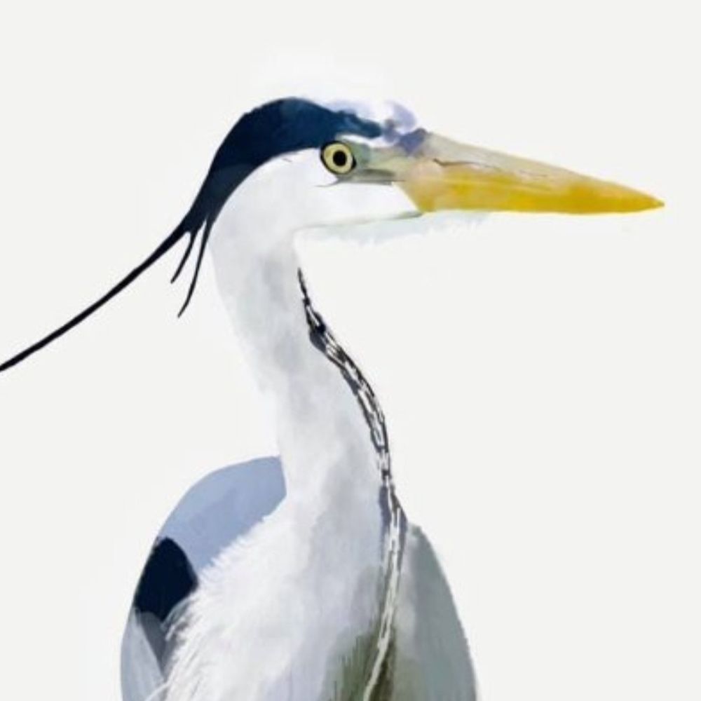 EveryHeron 's avatar