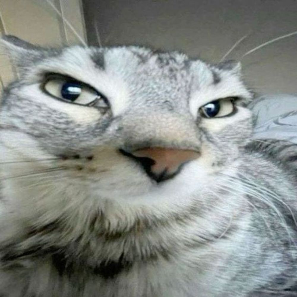 캬엉캬옹