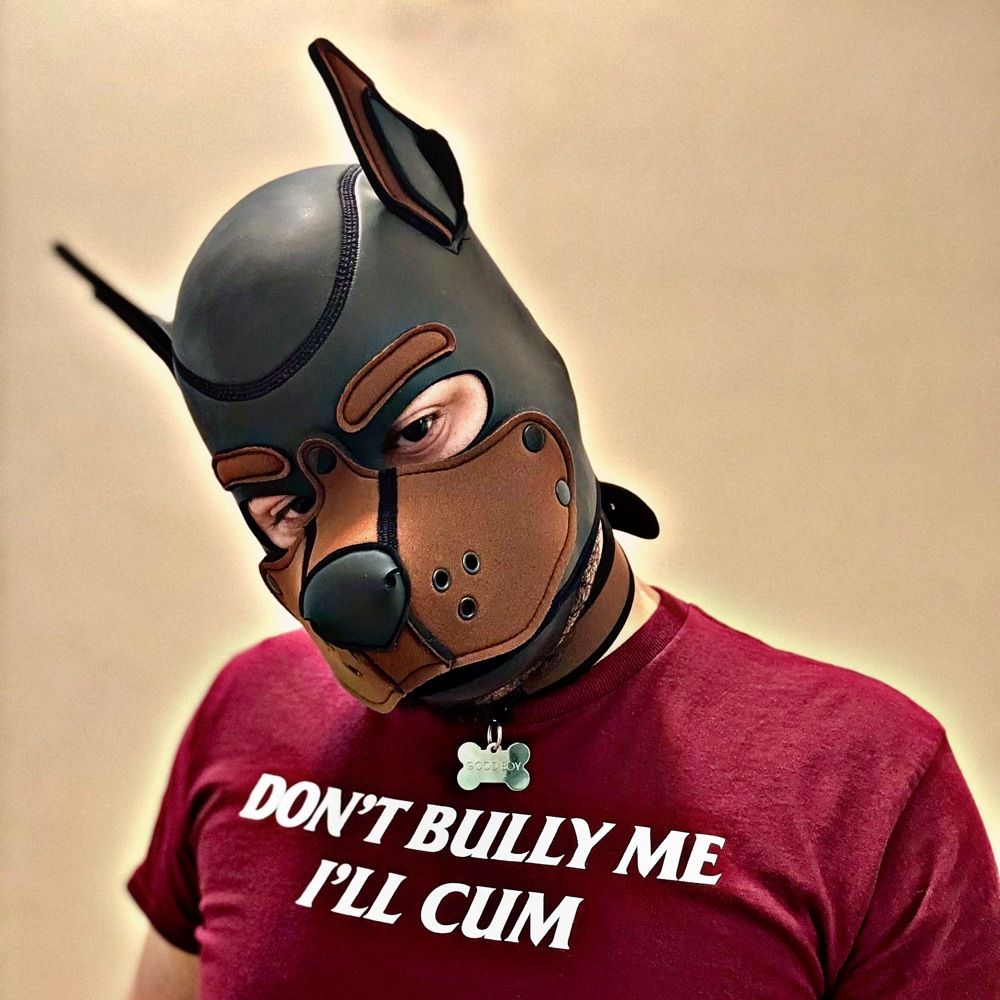Pup MAXI