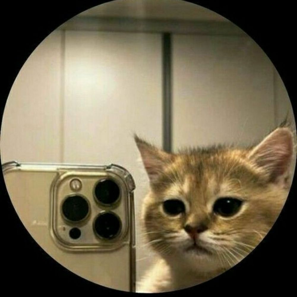 tet