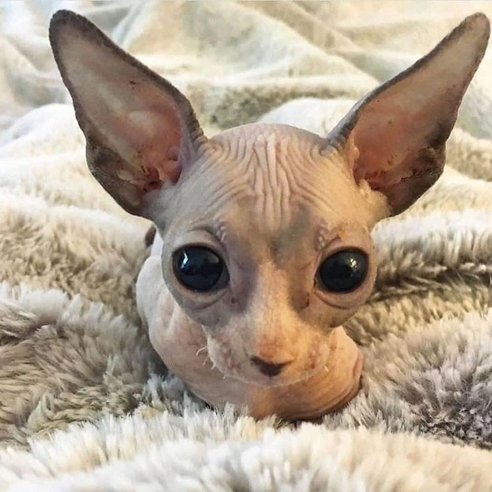 mati