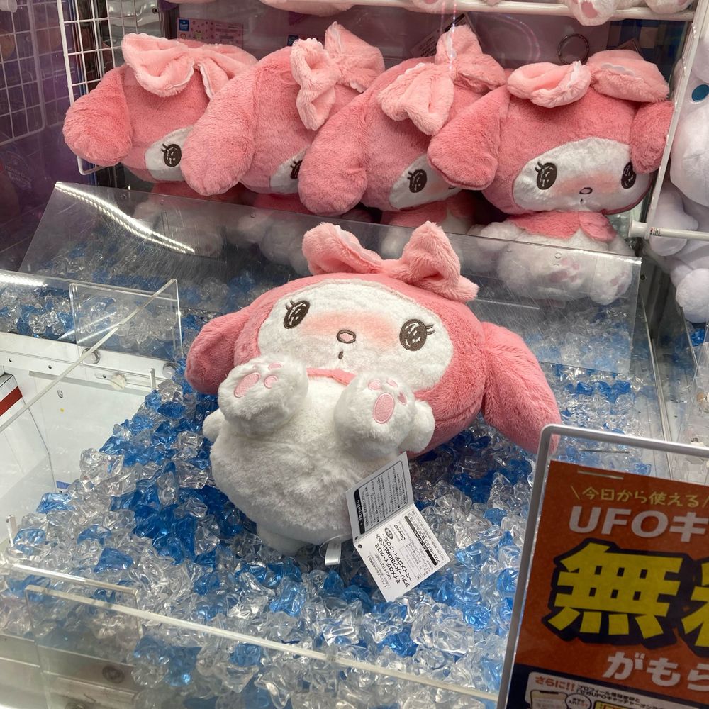 不和系